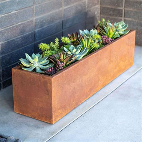 black metal planter box west elemn|West Elm indoor plant pots.